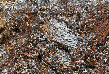 waste metal scrap from stamping meachine in recycle factory