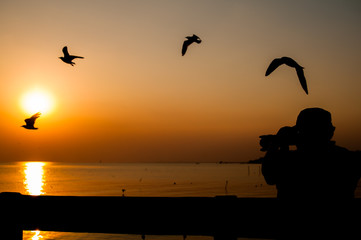 Fototapeta na wymiar Silhouette Photographer man traveler in neture beach summer sunset and bird beautiful