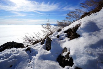Schnee und Gras auf Wiese &uuml;ber dem Wolkenmeer