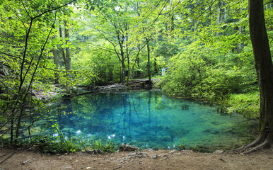 Azure pond. Natural lake in Romania