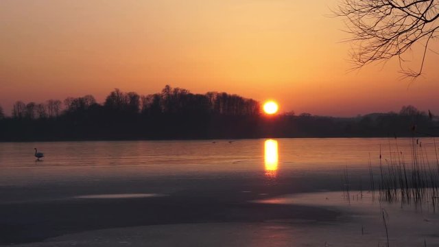 Sunset on a lake in Northern Germany with swans