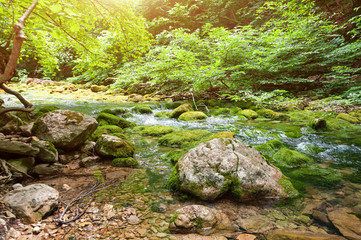 Forest stream running over mossy rocks. The mountain river in Crimea