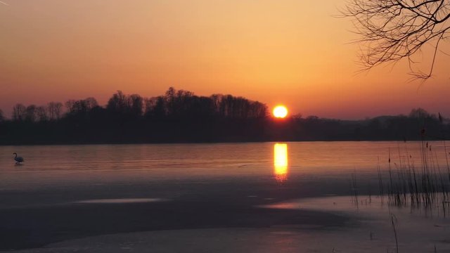 Sunset on a lake in Northern Germany with swans