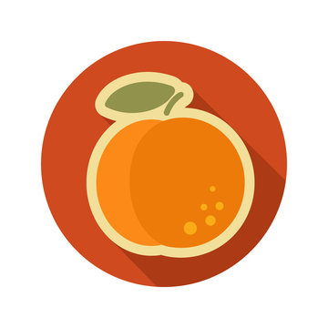 Peach flat icon. Fruit