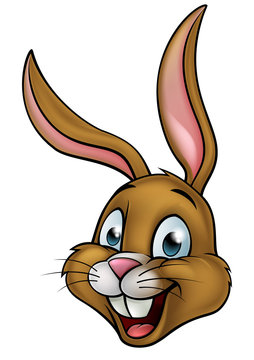 Cartoon Bunny Rabbit Face