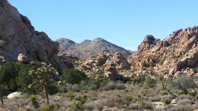 Time lapse of a field in hidden valley, in Joshua tree national park, in California, United states of america