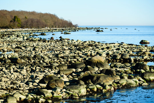 Lots of granite boulders are exposed by low seawater level on this stretch of coastline. Location Nogersund in Blekinge, Sweden.