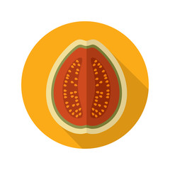 Guava flat icon. Tropical fruit