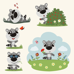 Vector set funny raccoon in different poses on summer meadow with flowers. Collection little raccoon in cartoon style.