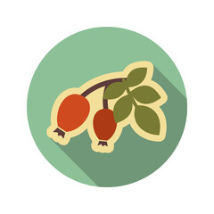 Rosehip branch with red berries flat icon