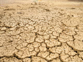 cracked earth