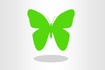 Illustration of green butterfly on plain background
