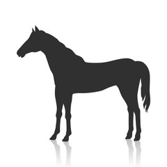 Sorrel Horse Vector Illustration in Flat Design