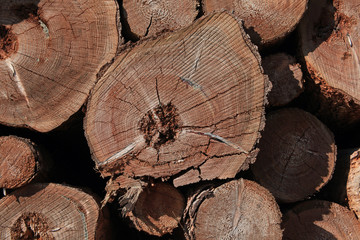 Naklejka premium geschlagenes Holz