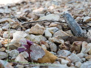 surface of the stone