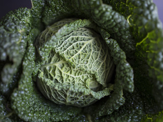Obraz premium Savoy cabbage isolated on black