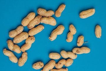 peanuts in shell on a blue background