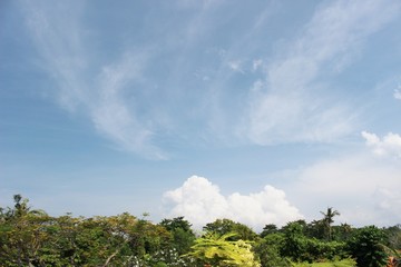 Obraz premium バリ、サヌールの青空