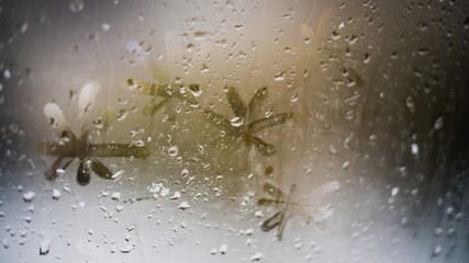 Painted glass snowflake asterisk on sweaty car window