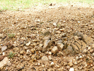 surface of the stone