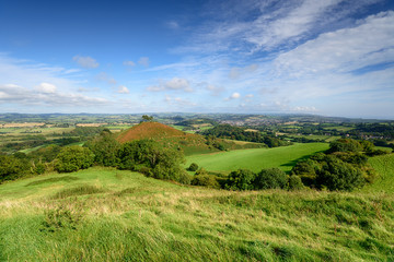 Fototapeta na wymiar Comer's Hill in Dorset