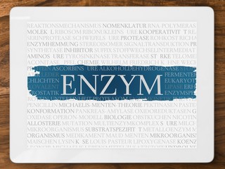 Enzym