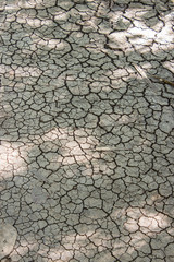 earth cracked texture background