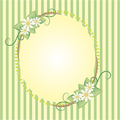 Spring frame