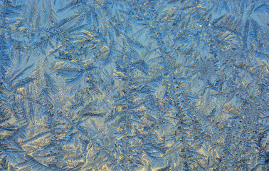 frost. wonderful winter patterns on glass.