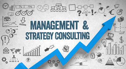 Management & Strategy Consulting