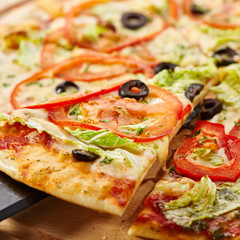 Vegetarian Mozzarella Pizza
