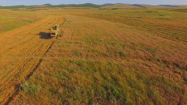 AERIAL VIEW. Combine Machine Reaping Golden Field