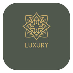 Luxury vector logo. Linear emblem