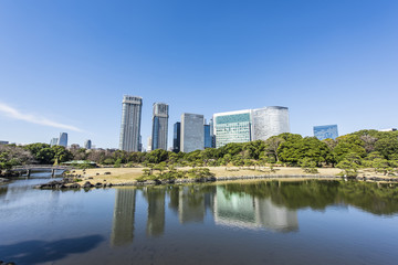 緑の中の高層ビル