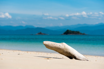 drift wood on white sand beach