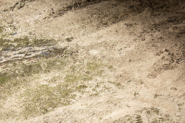 arid ground texture background