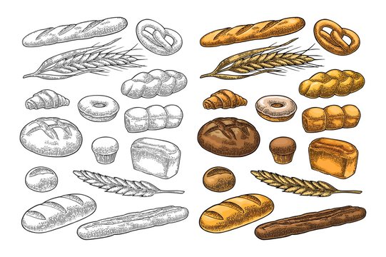 Set bread. Vector color vintage engraving