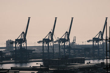 Obraz premium grandi gru nel porto di Genova