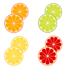 Obraz premium vector citrus fruits: lemon, lime, tangerine, orange, grapefruit.