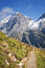 Fototapeta na wymiar Mountain hiking path in swiss alps