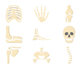 Human Skelton Bones Flat Icon