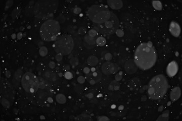 snow on a black background texture overlay bokeh highlights