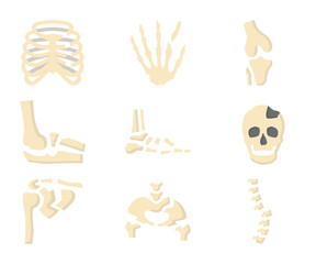 Broken Bones Human Skeleton Flat Icon