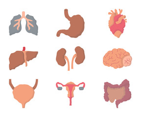 internal organs disease flat icon