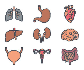 internal organs disease colored icon