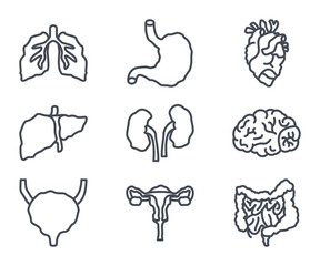 internal organs disease line icon