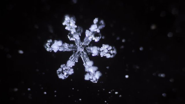 crystal of ice snowflake is melting in the dark