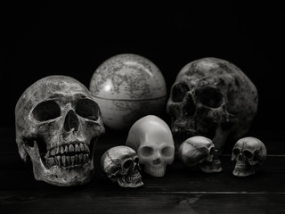 Still life skull