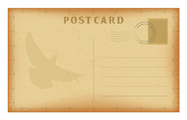 Vector old postcard with frame and dove. Grunge paper vintage post card.