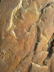 Textured Rock Background